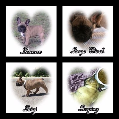 Du Domaine De Fontpetugue - Nos bébés