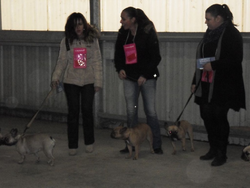 Régionale d'élevage de Grane 30/11/2014